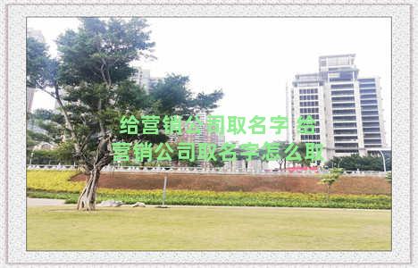 给营销公司取名字 给营销公司取名字怎么取